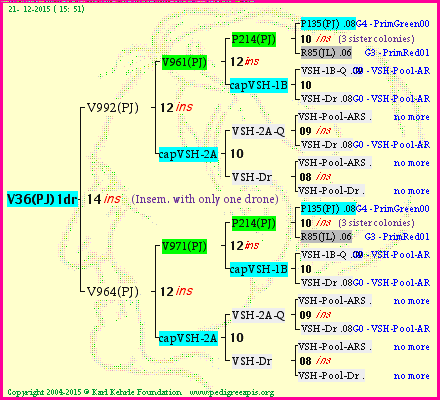 Pedigree of V36(PJ)1dr :
four generations presented<br />it's temporarily unavailable, sorry!