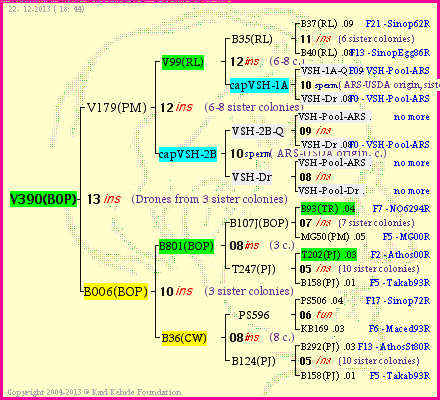 Pedigree of V390(BOP) :
four generations presented