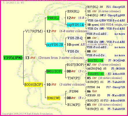 Pedigree of V395(JPN) :
four generations presented