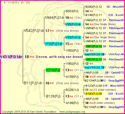 Pedigree of V431(PJ)1dr :
four generations presented<br />it's temporarily unavailable, sorry!