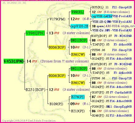 Pedigree of V453(JPN) :
four generations presented
