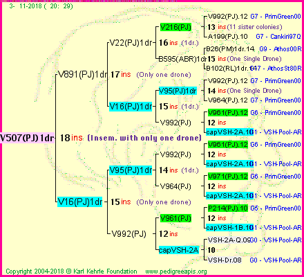 Pedigree of V507(PJ)1dr :
four generations presented<br />it's temporarily unavailable, sorry!