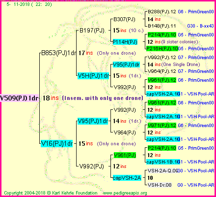 Pedigree of V509(PJ)1dr :
four generations presented<br />it's temporarily unavailable, sorry!