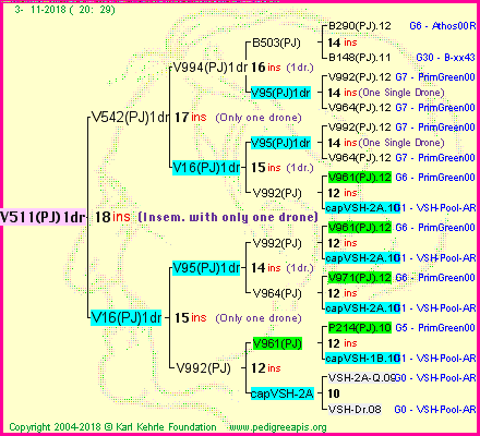 Pedigree of V511(PJ)1dr :
four generations presented<br />it's temporarily unavailable, sorry!