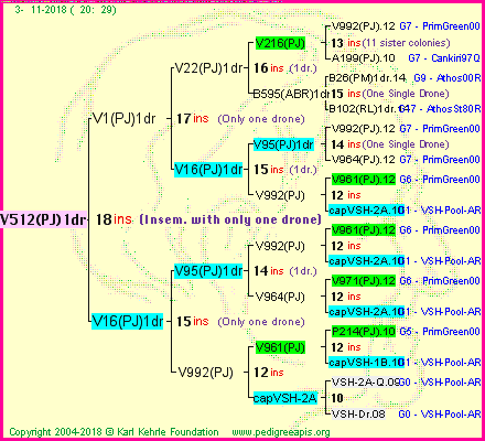 Pedigree of V512(PJ)1dr :
four generations presented<br />it's temporarily unavailable, sorry!