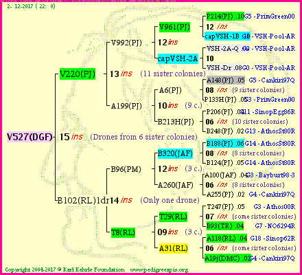 Pedigree of V527(DGF) :
four generations presented