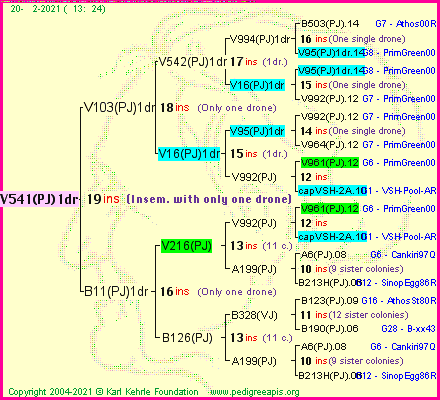 Pedigree of V541(PJ)1dr :
four generations presented
it's temporarily unavailable, sorry!