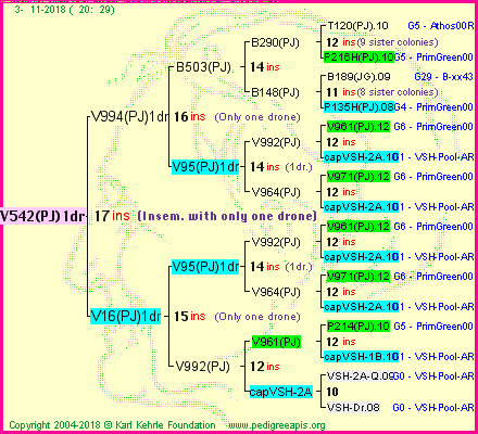 Pedigree of V542(PJ)1dr :
four generations presented<br />it's temporarily unavailable, sorry!