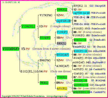 Pedigree of V555(DGF) :
four generations presented