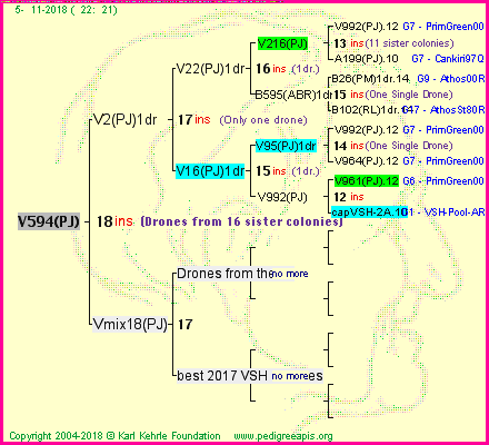 Pedigree of V594(PJ) :
four generations presented<br />it's temporarily unavailable, sorry!