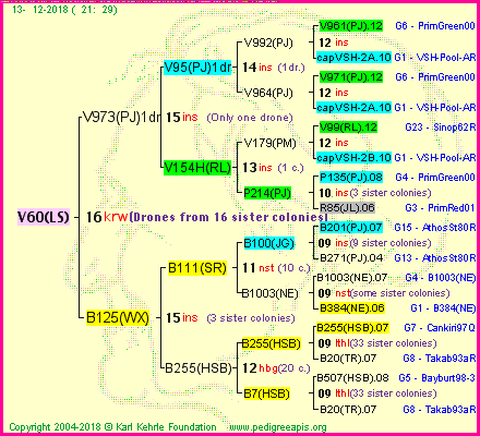 Pedigree of V60(LS) :
four generations presented<br />it's temporarily unavailable, sorry!