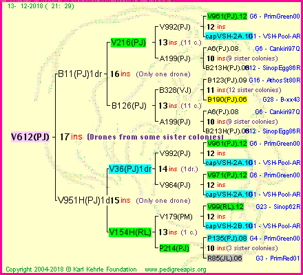 Pedigree of V612(PJ) :
four generations presented
it's temporarily unavailable, sorry!