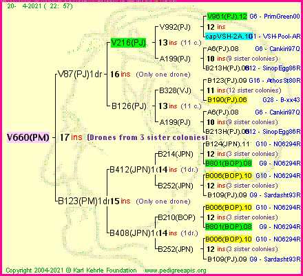 Pedigree of V660(PM) :
four generations presented
it's temporarily unavailable, sorry!