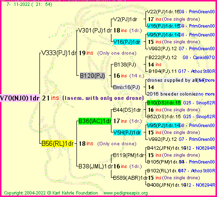 Pedigree of V70(NJO)1dr :
four generations presented
it's temporarily unavailable, sorry!