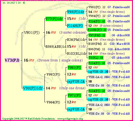 Pedigree of V73(PJ) :
four generations presented<br />it's temporarily unavailable, sorry!