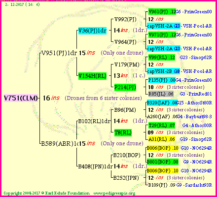 Pedigree of V751(CLM) :
four generations presented