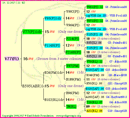 Pedigree of V77(FL) :
four generations presented
it's temporarily unavailable, sorry!