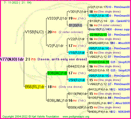 Pedigree of V77(NJO)1dr :
four generations presented
it's temporarily unavailable, sorry!