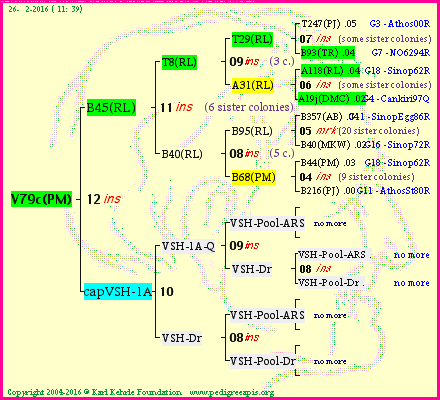 Pedigree of V79c(PM) :
four generations presented