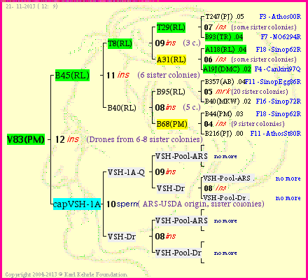 Pedigree of V83(PM) :
four generations presented