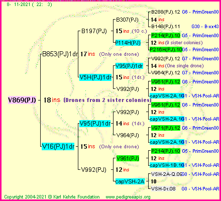 Pedigree of V869(PJ) :
four generations presented
it's temporarily unavailable, sorry!