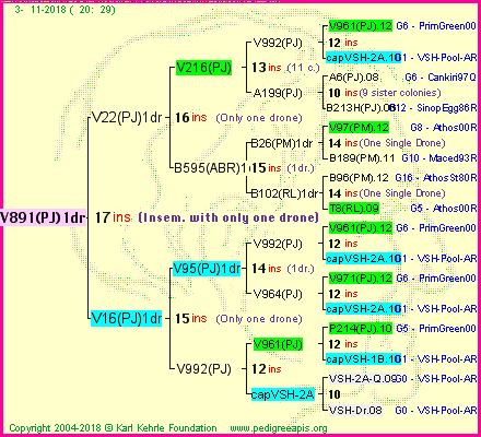 Pedigree of V891(PJ)1dr :
four generations presented<br />it's temporarily unavailable, sorry!