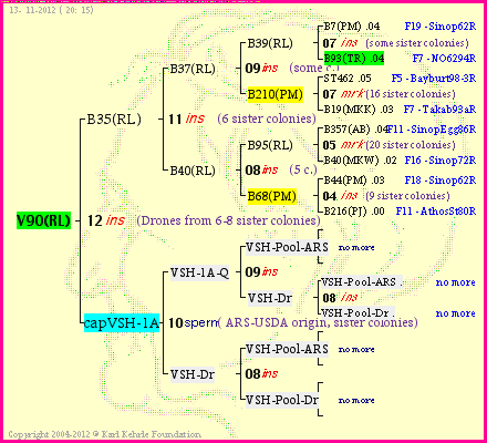 Pedigree of V90(RL) :
four generations presented