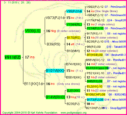 Pedigree of V911(FZ) :
four generations presented<br />it's temporarily unavailable, sorry!