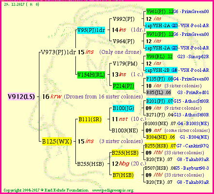 Pedigree of V912(LS) :
four generations presented