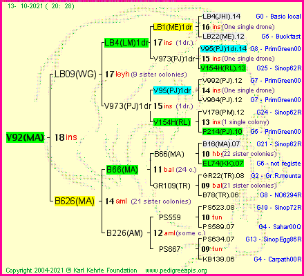 Pedigree of V92(MA) :
four generations presented
it's temporarily unavailable, sorry!