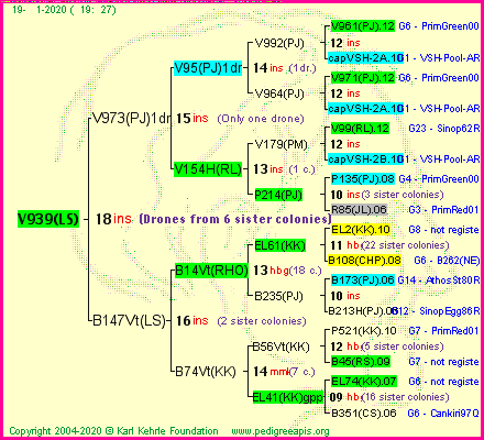 Pedigree of V939(LS) :
four generations presented<br />it's temporarily unavailable, sorry!