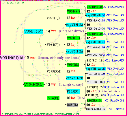 Pedigree of V951H(PJ)1dr :
four generations presented
it's temporarily unavailable, sorry!