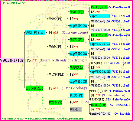 Pedigree of V963(PJ)1dr :
four generations presented
it's temporarily unavailable, sorry!