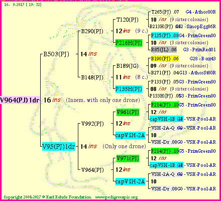 Pedigree of V964(PJ)1dr :
four generations presented<br />it's temporarily unavailable, sorry!