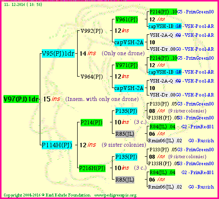 Pedigree of V97(PJ)1dr :
four generations presented<br />it's temporarily unavailable, sorry!