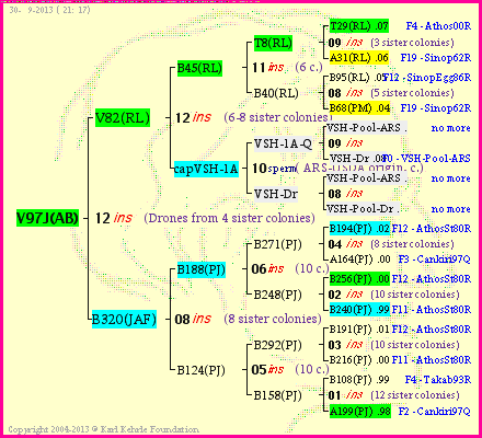 Pedigree of V97J(AB) :
four generations presented