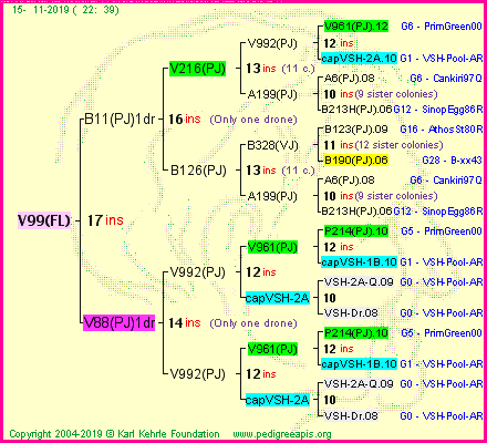 Pedigree of V99(FL) :
four generations presented
it's temporarily unavailable, sorry!