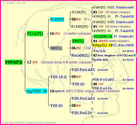 Pedigree of V994(PJ) :
four generations presented