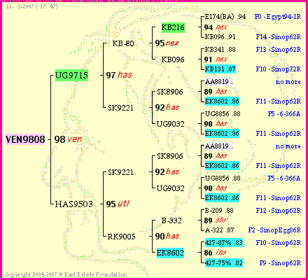 Pedigree of VEN9808 :
four generations presented