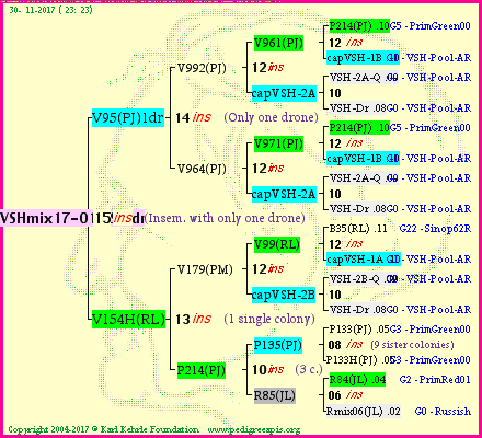 Pedigree of VSHmix17-01(LS)1dr :
four generations presented
it's temporarily unavailable, sorry!