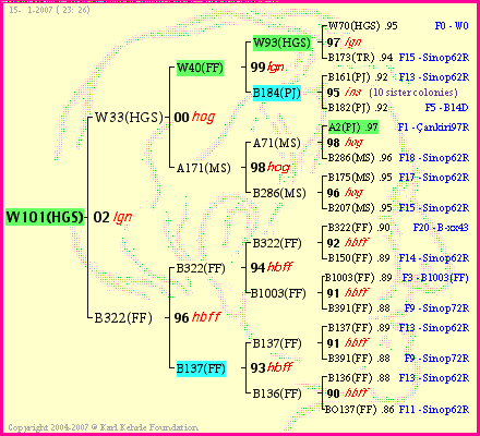 Pedigree of W101(HGS) :
four generations presented
it's temporarily unavailable, sorry!