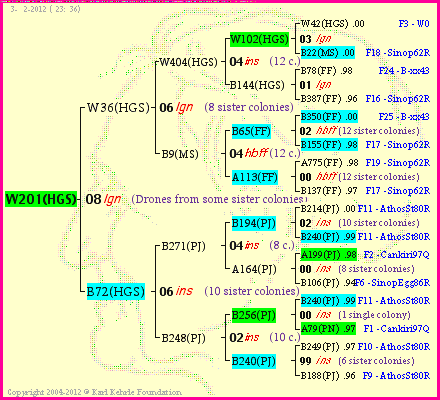 Pedigree of W201(HGS) :
four generations presented