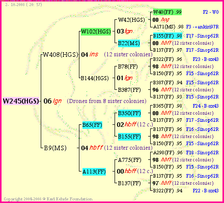 Pedigree of W245(HGS) :
four generations presented