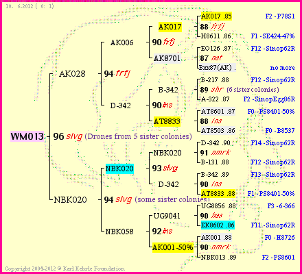 Pedigree of WM013 :
four generations presented