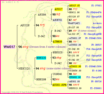 Pedigree of WM017 :
four generations presented