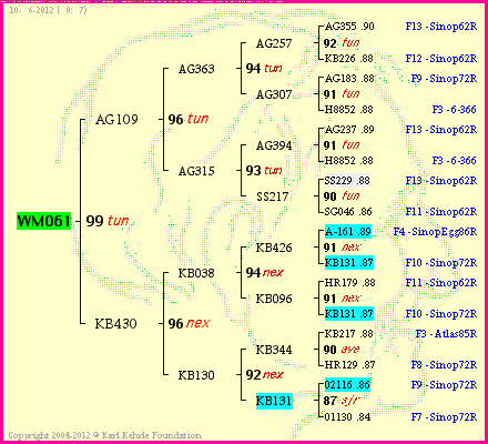 Pedigree of WM061 :
four generations presented