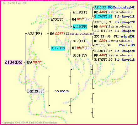 Pedigree of Z104(DS) :
four generations presented