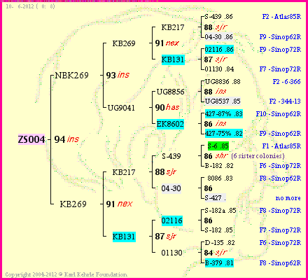 Pedigree of ZS004 :
four generations presented