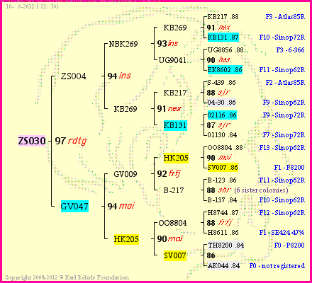 Pedigree of ZS030 :
four generations presented