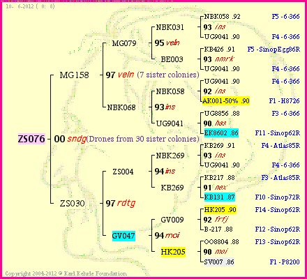 Pedigree of ZS076 :
four generations presented